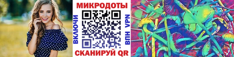 Псилоцибиновые грибы ЛСД  OMG tor  Елец 