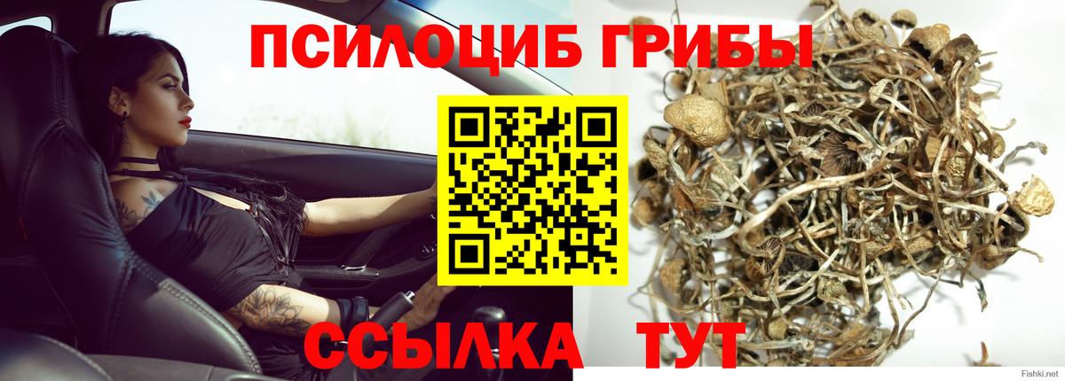 Псилоцибиновые грибы прущие грибы  Псилоцибиновые грибы мицелий  Вход с VPN  Елец 