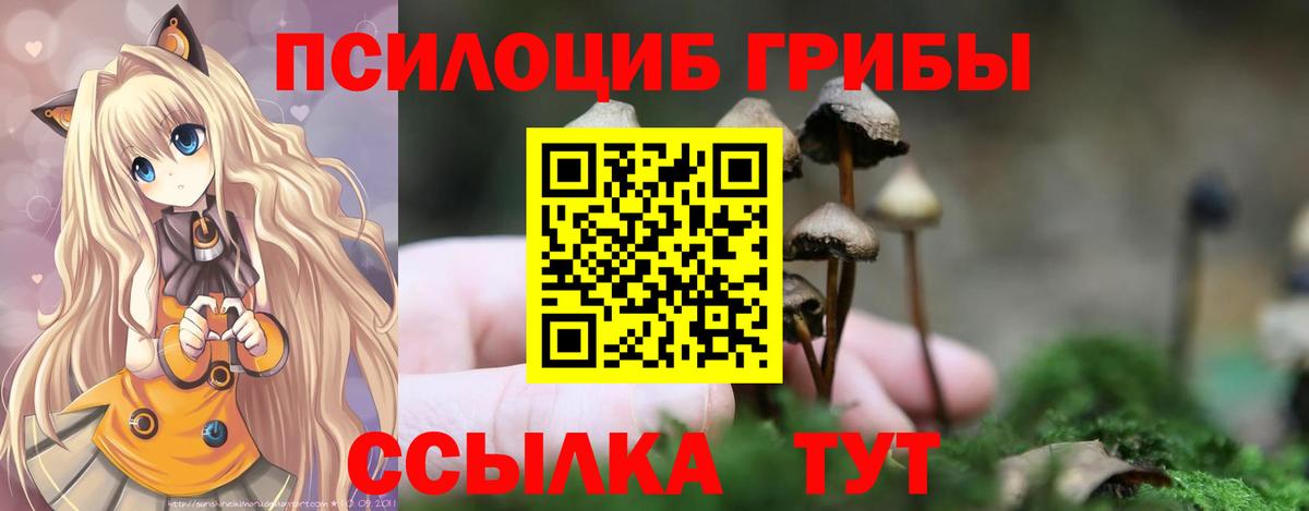 Псилоцибиновые грибы Psilocybine cubensis Елец