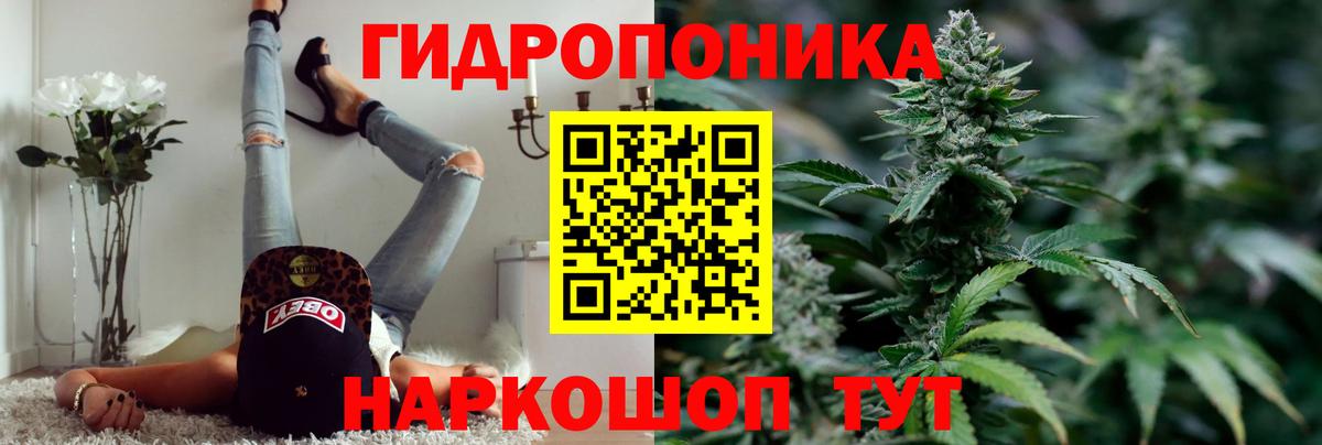 Конопля Ganja  Конопля ГИДРОПОН  Елец  Вход с VPN  Бошки марихуана White Widow 